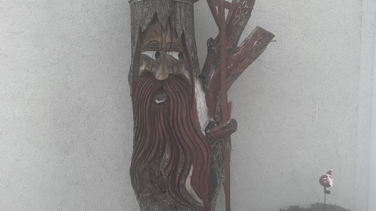 The bearded old man of wood.