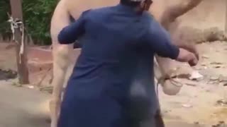 Camel Self Defense