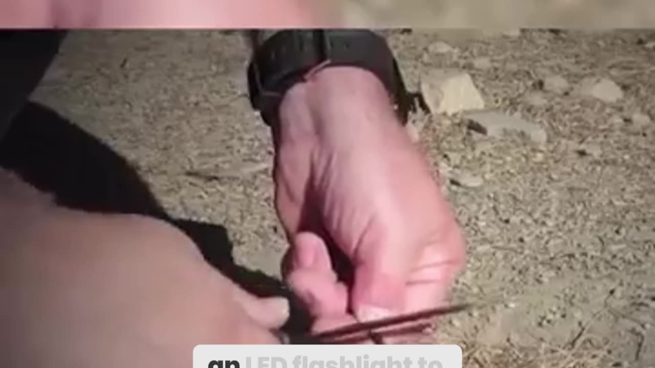 The Ultimate Survival Watch: Can Yours Do THIS?