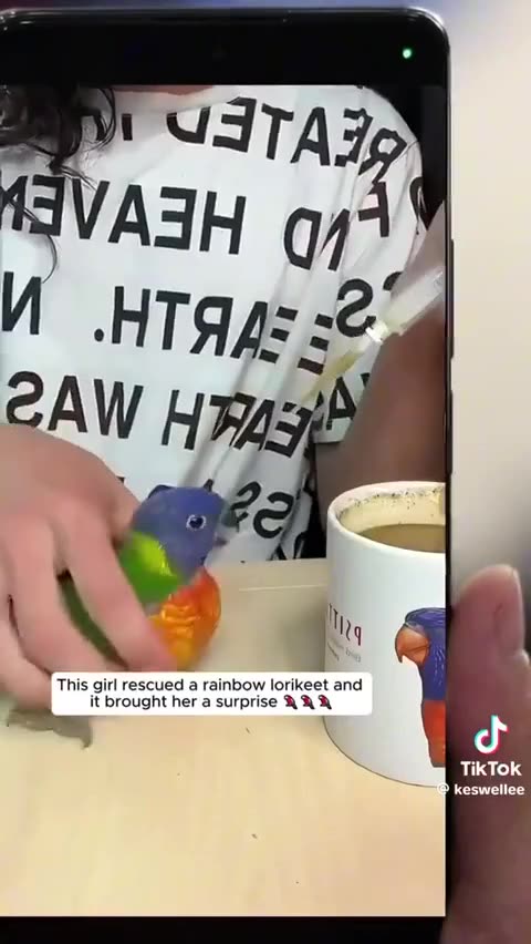 The Grateful Parrot: A Tale of Rescue and Friendship