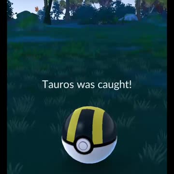 Pokémon GO-XXS Tauros(Weight-46.49kg, Height-0.7m)