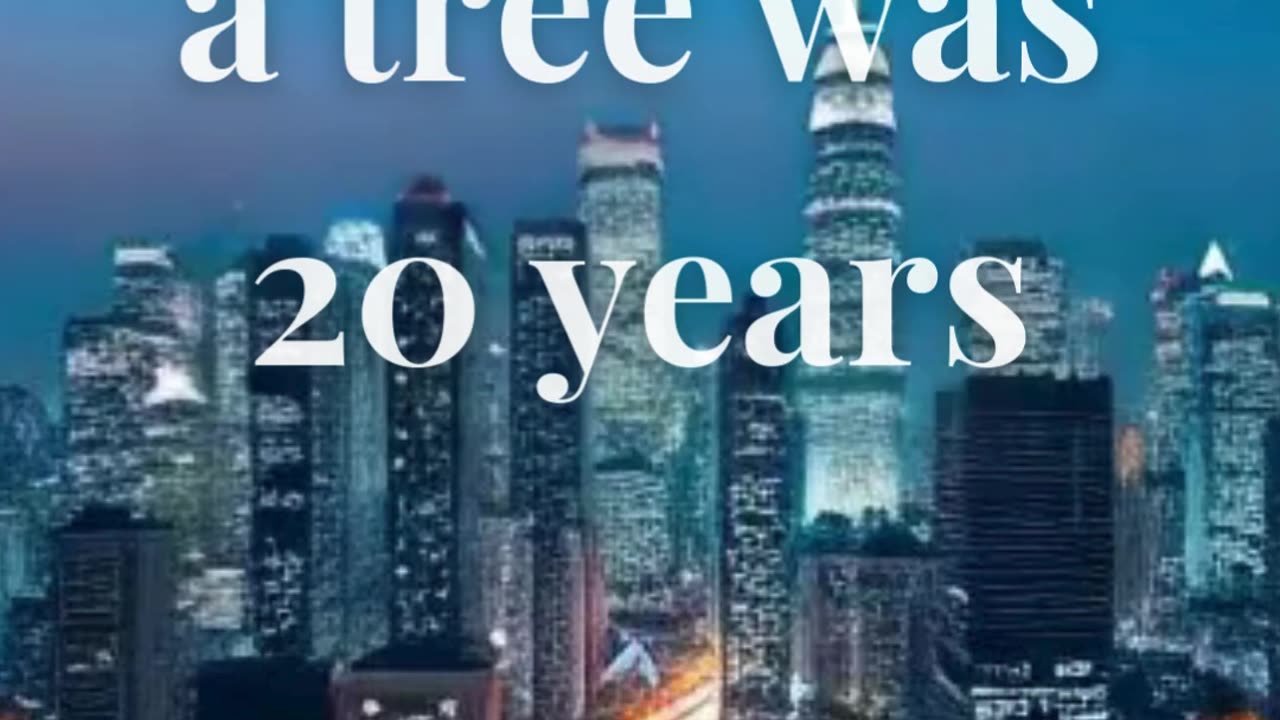 The best time to plant a tree was 20 years ago. The second best time is now