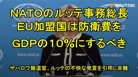 マリア・ザハロワ氏は記者団に対し、NATO事務総長の「不快な」発言はロシアとニュージーランド両国を攻撃。