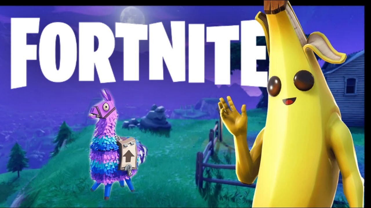 Fortnite - With Subs