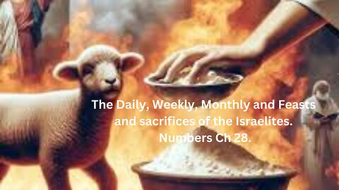 The Daily, Weekly, Monthly and Feasts and sacrifices of the Israelites. Numbers Ch 28.