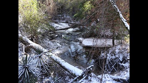 Peaceful Living 1/22/25