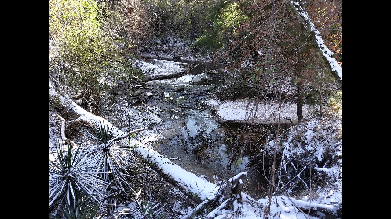 Peaceful Living 1/22/25