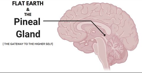 FLAT EARTH & THE PINEAL GLAND [ the gateway to the higher self ]