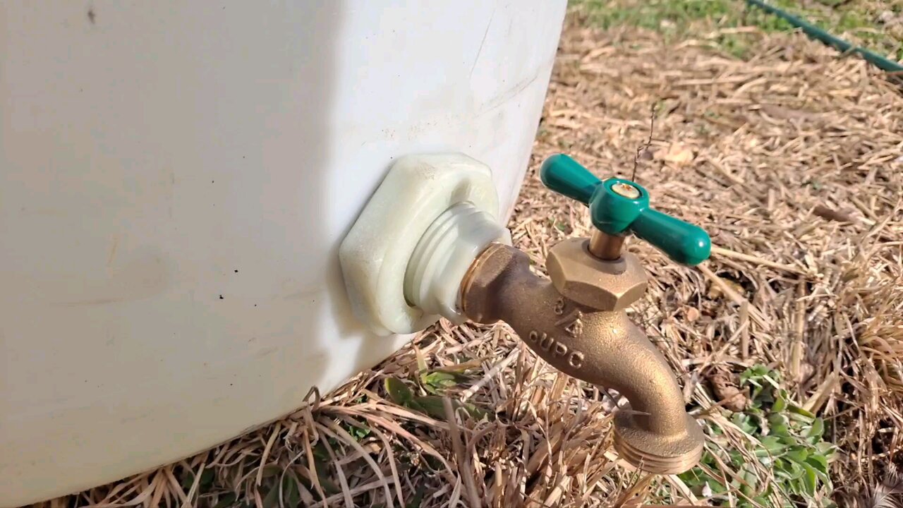 Gang rain barrels together for cheap
