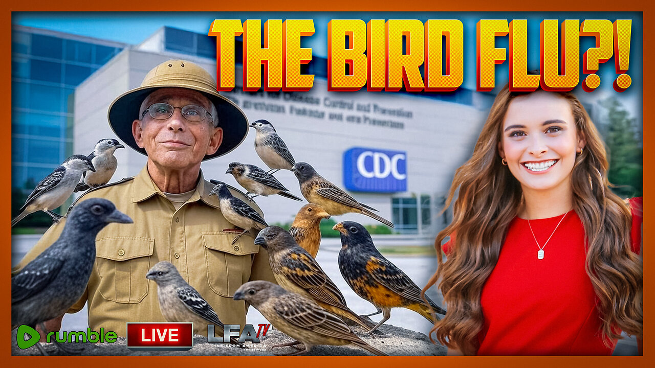 THE BIRD FLU?! | LIVE WITH HANNAH FAULKNER 12.30.24 3pm EST