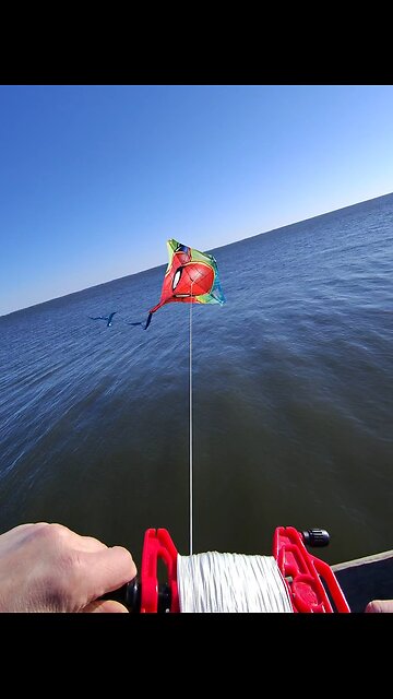 Wasn’t trying to Fish