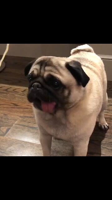 Happy Spaghetti 🍝🍝😋😋