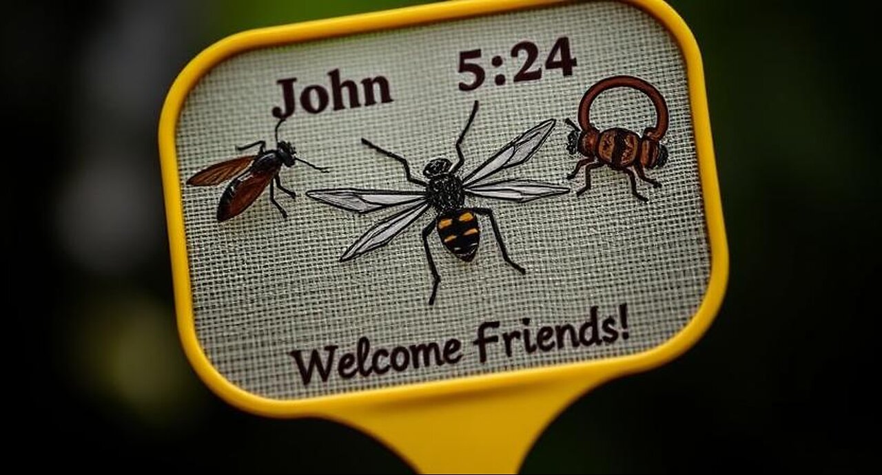 Let's Swat Some Bugs! - John 5:24 - John 14:6