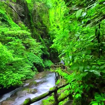 ♥️ The Calming Beauty of Nature