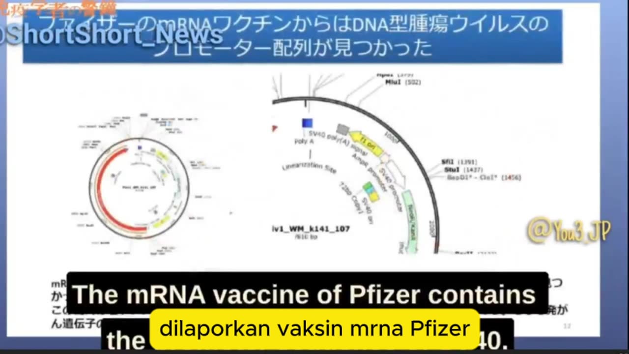 ⚠️Profesor Murakami menjelaskan mekanisme Turbo Cancer