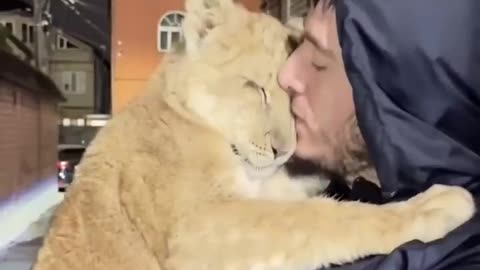 Cats are cats 🐈 that’s it 😂