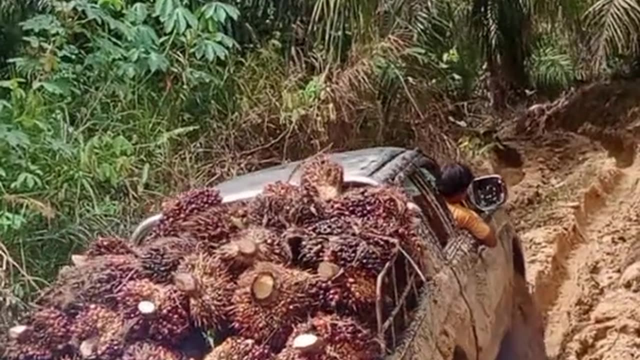 don't give up on passing through muddy roads