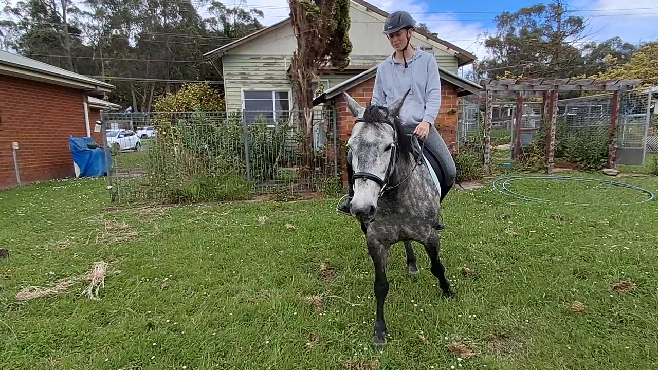 1- Start of ride off to paddock.