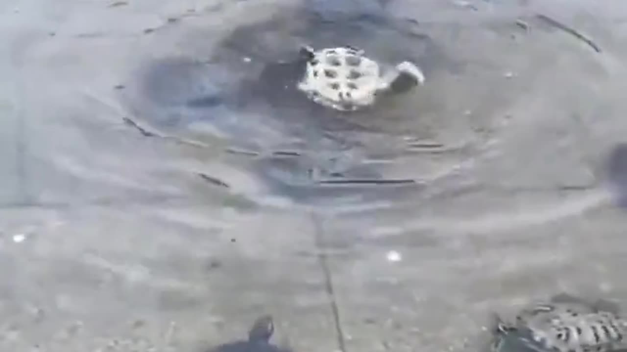 A friend in need is a friend indeed.. 🙏