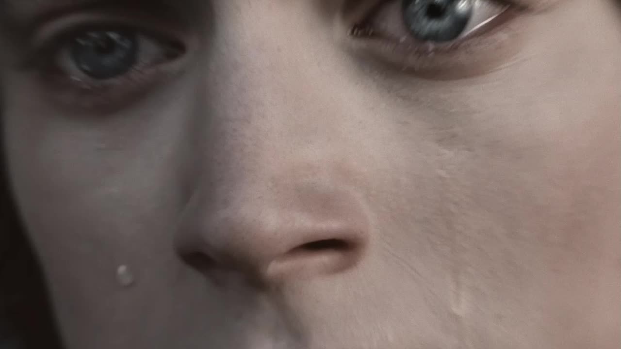 The start of a great trilogy (The Lord Of The Rings The Fellowship Of The Ring 2001)