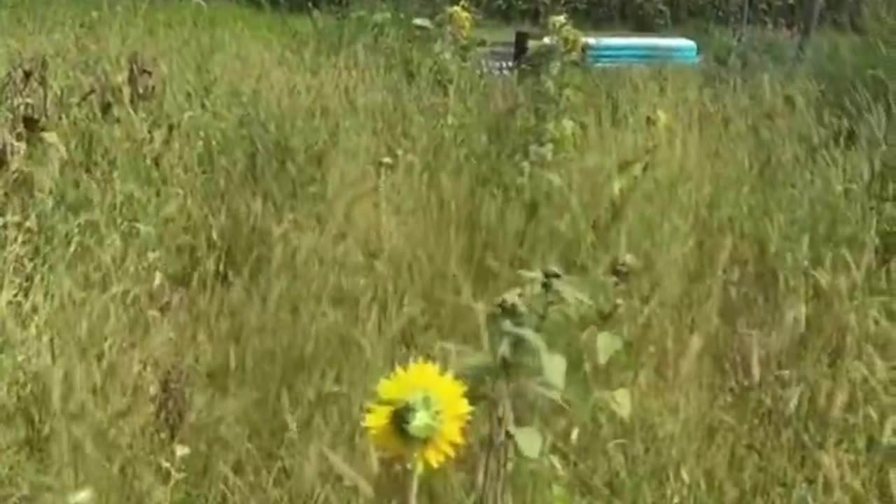 Aluminum in the Soil? Warning to Grower's