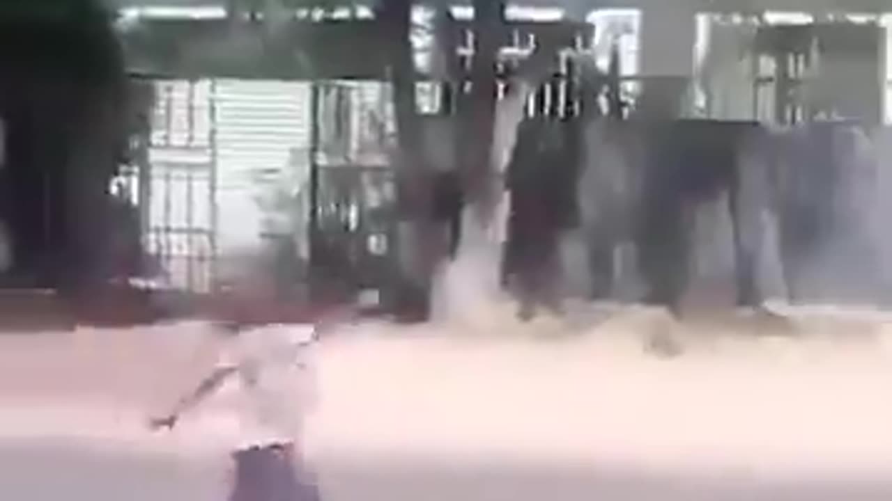 Glad To See A Kid That Isn’t On Their Phone .....