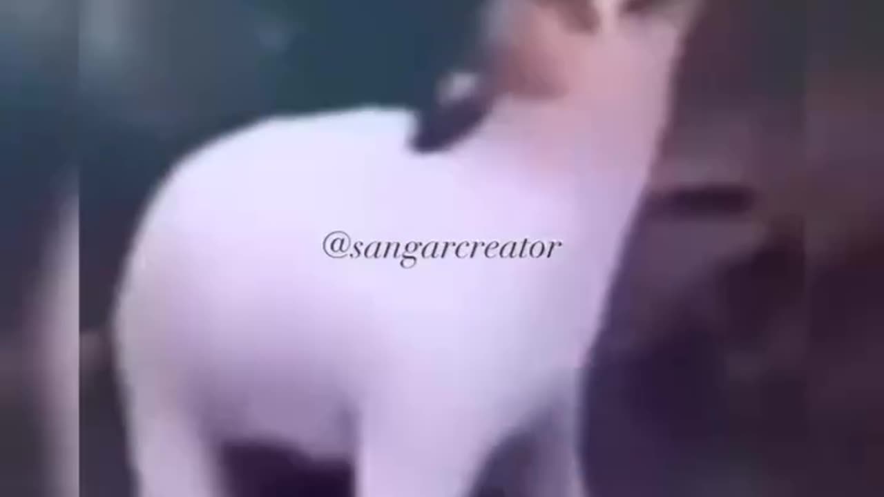 Guiiknn
