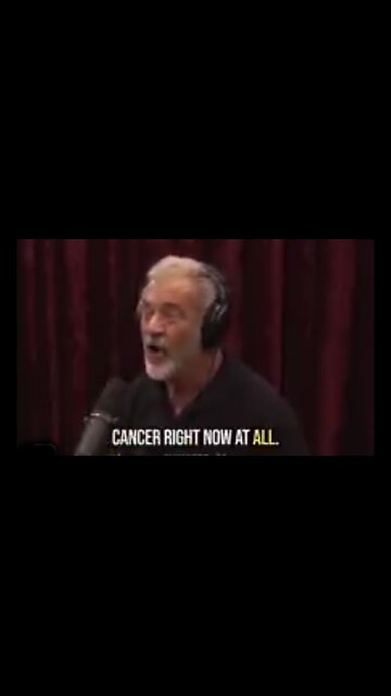 LISTEN TO WHAT MEL GIBSON HAS TO SAY ABOUT IVERMECTIN AND CANCER ⚔️