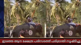 മലപ്പുറത്ത് ക്ഷേത്രോത്സവത്തിനിടയിൽ ആനയിടഞ്ഞു _ Kerala elephant attack in 2024 latest