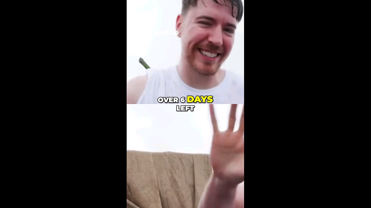 Spend a day is sea with Mr Beast