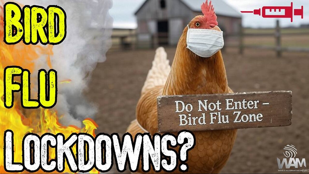 BIRD FLU LOCKDOWNS - Establishment Preps Sheep For MASSIVE Bird Flu Plandemic Mutation Hoax!