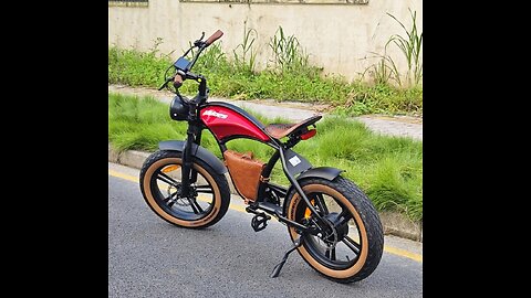 Hidoes B-10 Electric bike