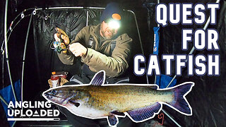 Quest for Winter Catfish on the Horseshoe Chain