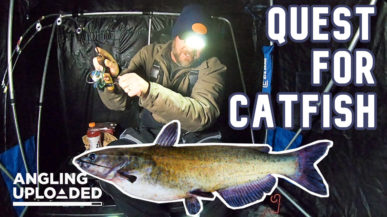 Quest for Winter Catfish on the Horseshoe Chain