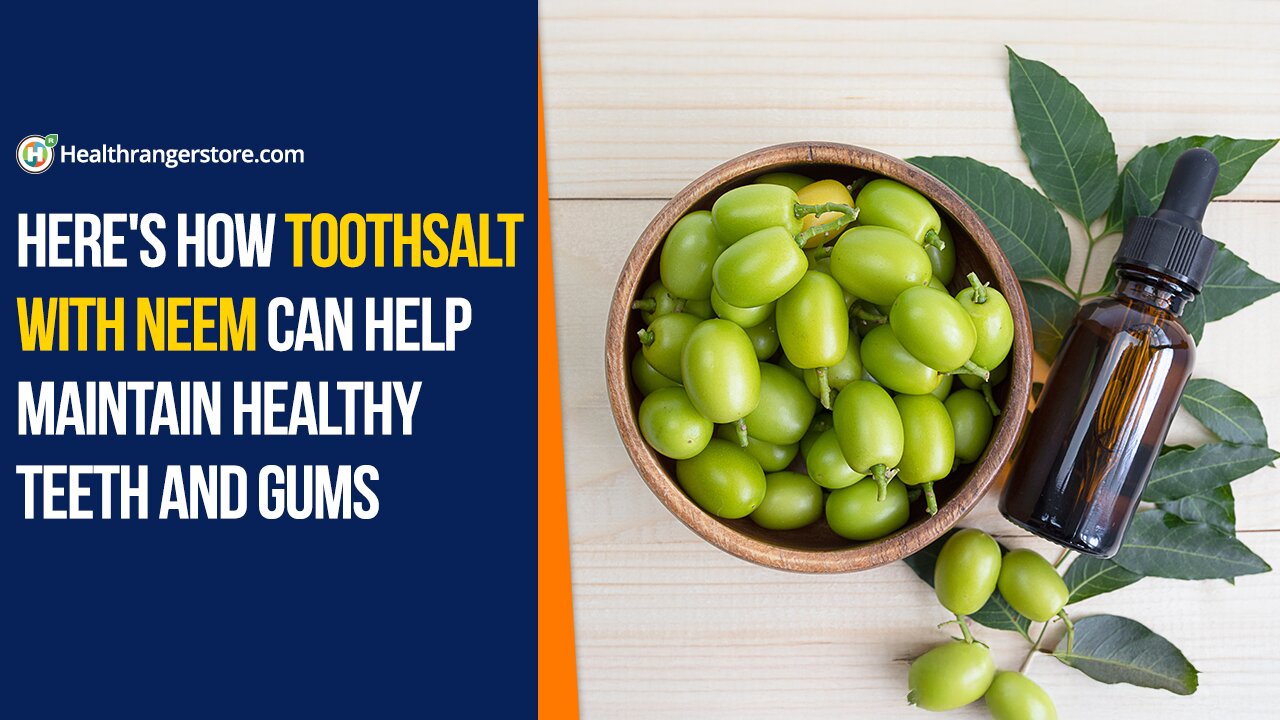 Here's how Toothsalt with Neem can help maintain healthy teeth and gums