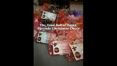 Sand Dollar Santa Spreading Christmas Cheer