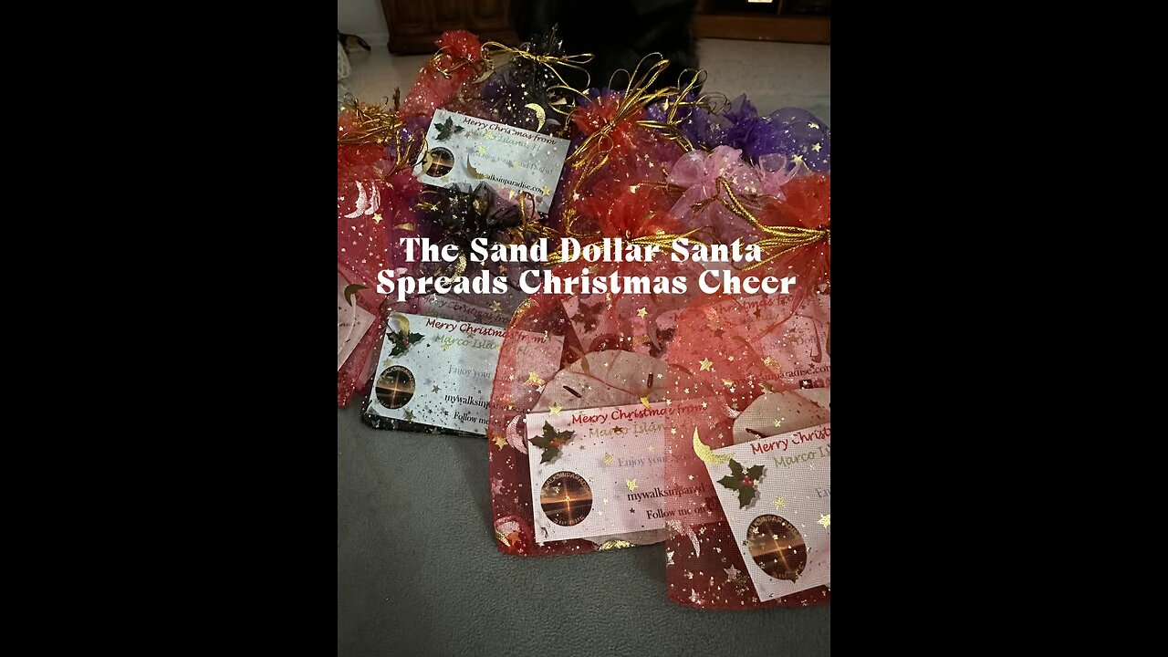 Sand Dollar Santa Spreading Christmas Cheer