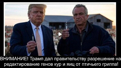 ⚡️⚡️⚡️ ВНИМАНИЕ! Трамп дал правительству разрешение на редактирование генов кур и яиц от птичьего гриппа!