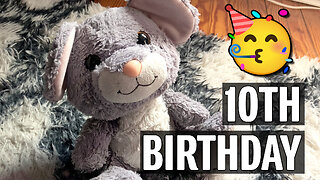 Celebrating Roostah's 10th Birthday!