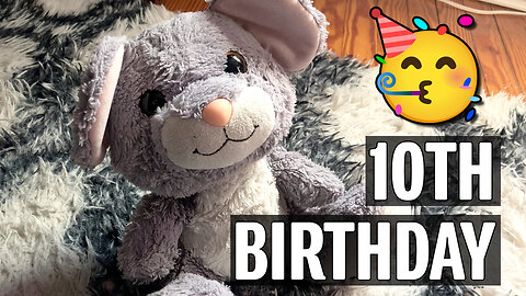 Celebrating Roostah's 10th Birthday!