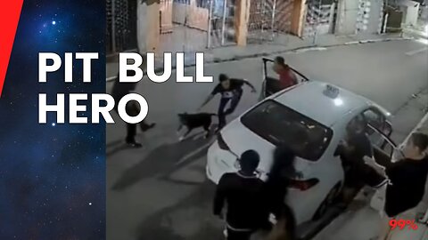 Quick-Thinking Mom Releases Pit Bull on Thieves: Dramatic Security Footage