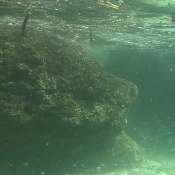 Any Day Snorkeling Is A Good Day!!