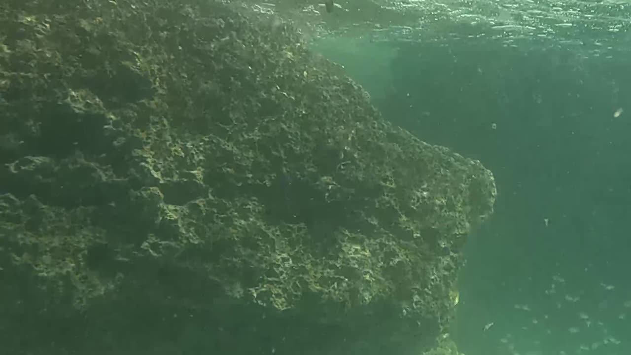 Any Day Snorkeling Is A Good Day!!