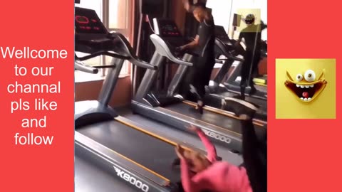 Funny Videos 23 