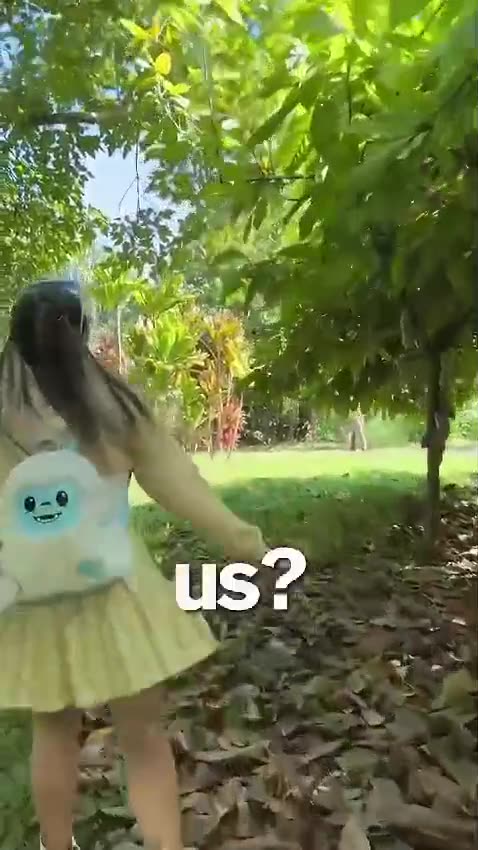 Funny Vlogs Fly To Hawaii For Coconut