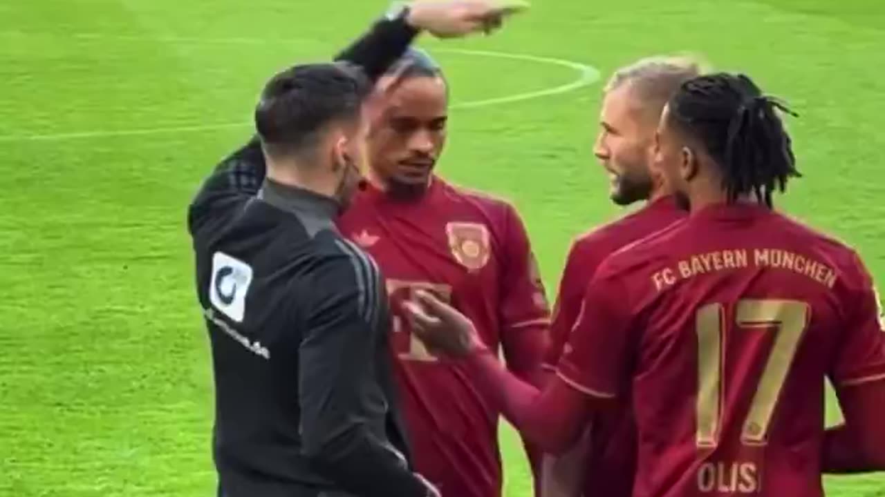 Sane