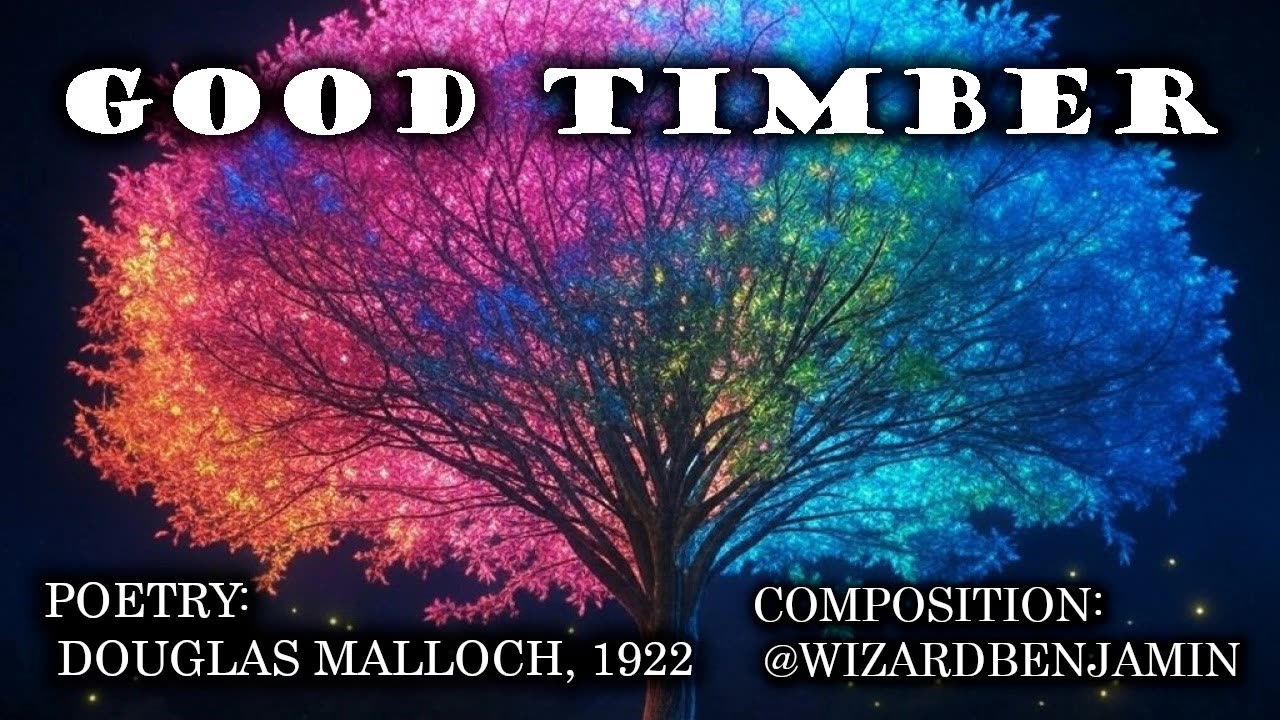 「AI RADIO」 "GOOD TIMBER"