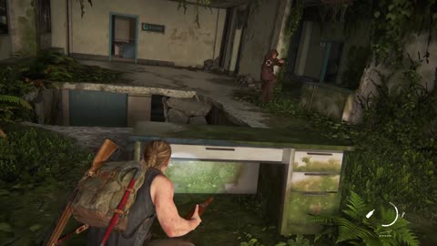 The Last of Us Part II Eliminate Seraphites