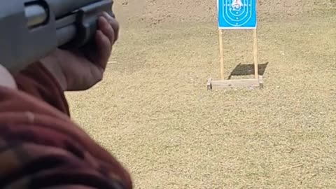 Remington Police 12 Gauge Shotgun