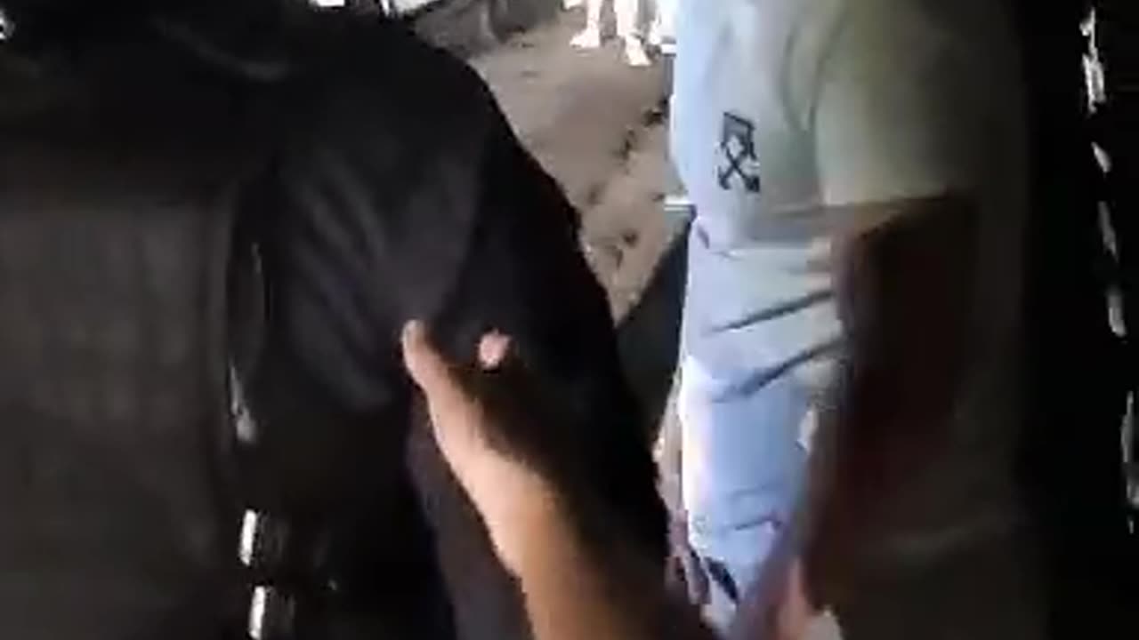 Denuncia de incitación a la violencia por parte de policías, San José
